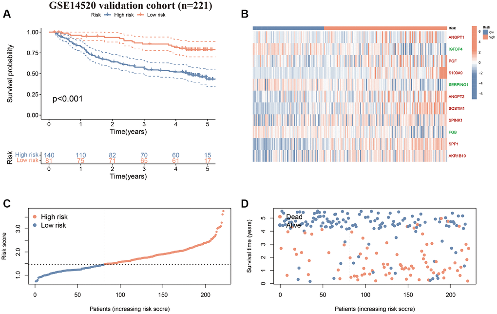 Validation of the CAFRss in GSE14520 cohort. (A) K-M curves for OS. (B) Heat map displaying the expression levels of the 11 genes in CAFRss (Red genes represent risk factors; green genes represent protective factors). (C, D) Risk score distribution curves and survival status plots.