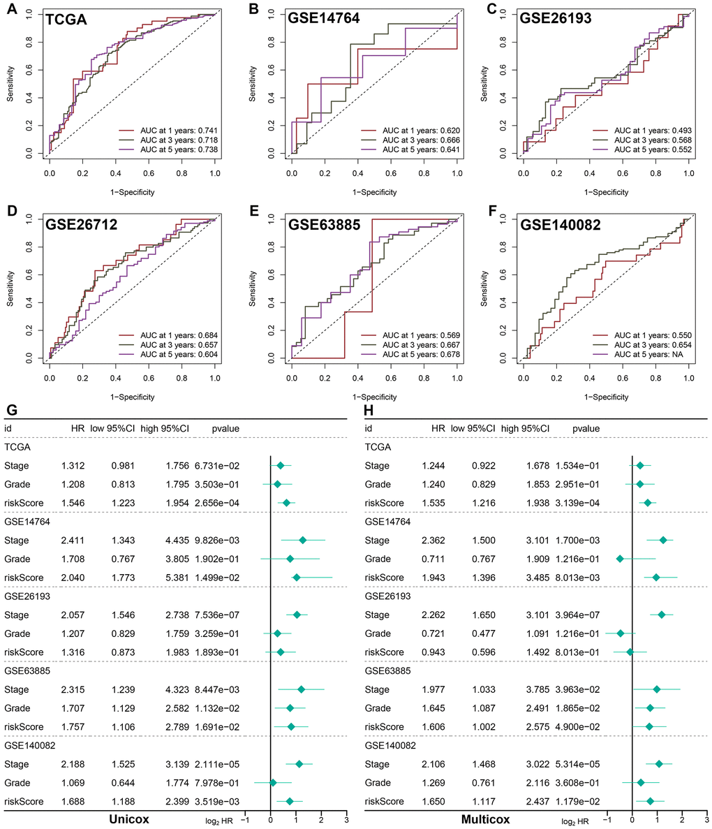 Evaluation of the performance of prognostic PI3K/Akt pathway related signature (PRS). ROC curve evaluated discrimination of PRS in predicting 1-, 3-, and 5-year OS rate of ovarian cancer in TCGA (A), GSE14764 (B), GSE26193 (C), GSE26172 (D), GSE63885 (E) and GSE140082 (F) cohort. (G, H) Univariate and multivariate cox regression analysis considering grade, stage and risk score in training and testing cohort.