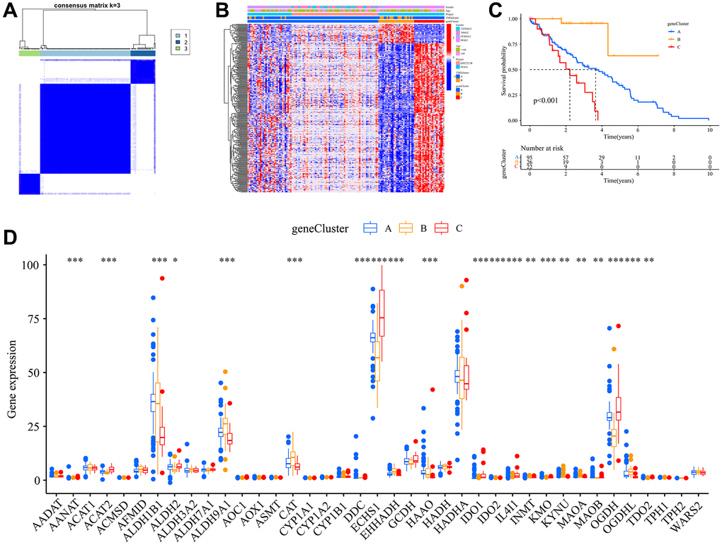 Construction of gene subtypes. (A) Harmonized matrix heatmap delineating a pair of distinct gene assemblages; (B) Disparate expression of TMRGs amid clinical characteristics within the duet of gene subclasses; (C) Survival curves for OS of the two gene subtypes; (D) Variations in the manifestation of 40 TMRGs between the pair of gene subclasses.