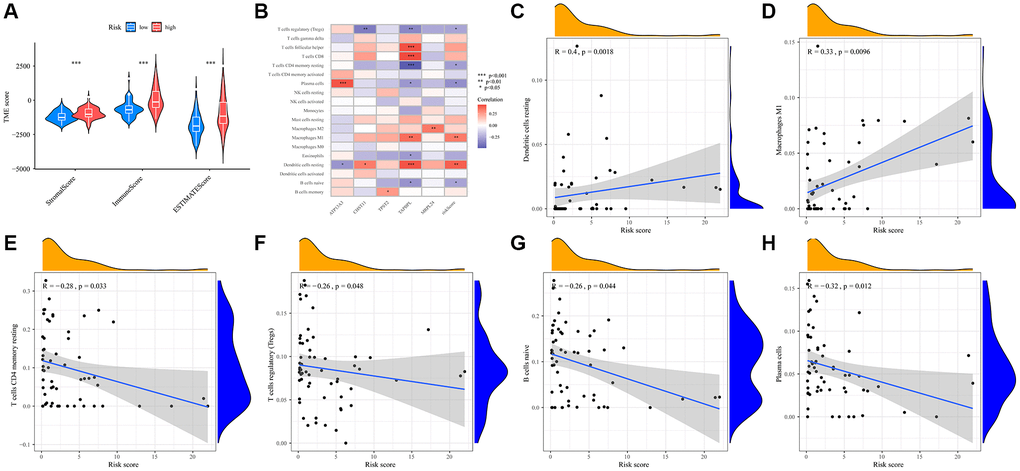 Prognostic TMRGs intervene in immune infiltration in UVM. (A) Correlations between risk score and immune, stromal and ESTIMATE scores; (B) Heatmap of the immune cells, five differential gene and the risk score; (C–H) Correlation between the risk score and the abundance of immune cells, including (C) Dendritic cells resting, (D) Macrophages M1, (E) T cells CD4 memory resting, (F) T cells regulatory (Tregs), (G) B cells naive, (H) Plasma cells.