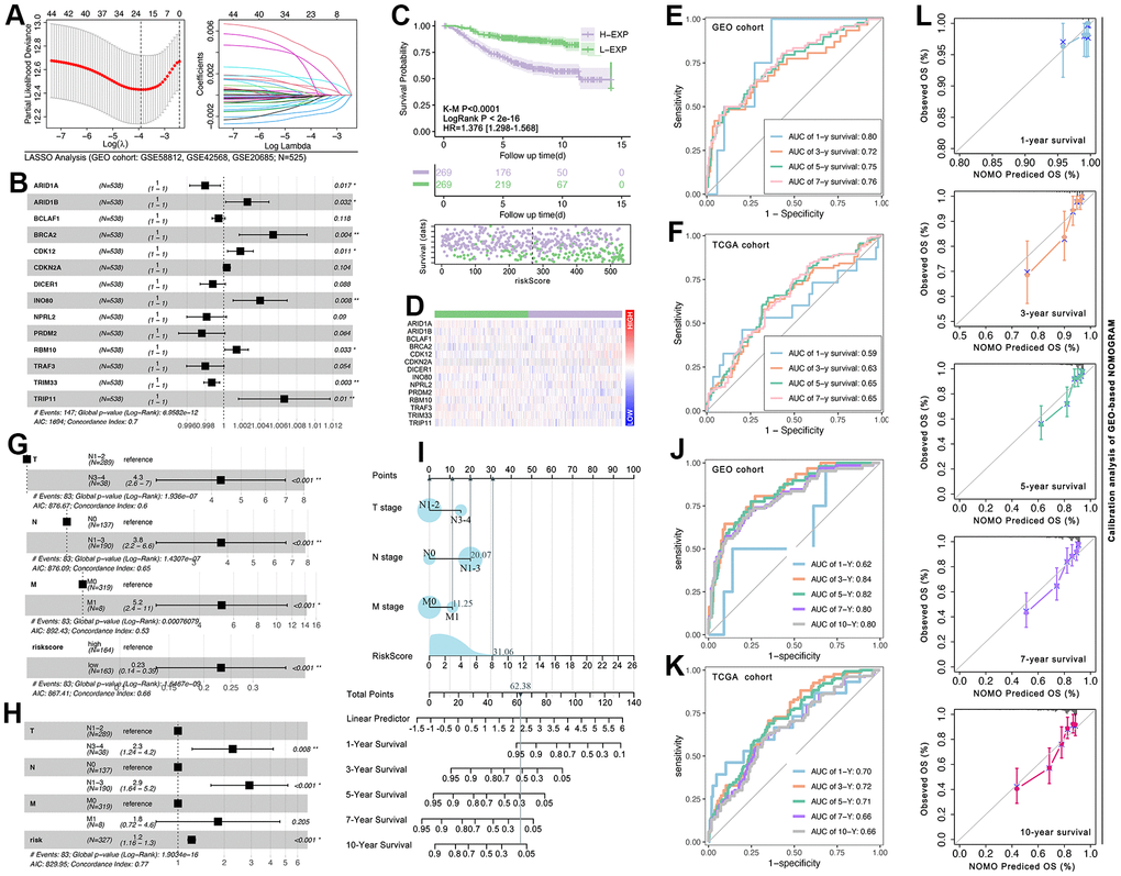 CRG-TDGs-based nomogram construction. (A) LASSO analysis. (B) Multivariate cox regression selected ARID1A, ARID1B, BCLAF1, BRCA2, CDK12, CDKN2A, DICER1, INO80, NPRL2, PRDM2, RBM10, TRAF3, TRIM33, and TRIP11 to construct multi-gene risk model, of which the C-index is 0.7 (log-rank p=6.9582e-12). (C) K-M analysis showed the prognosis difference between the high-risk group and the low-risk group, and (D) the gene expression profile is also explored. ROC analysis is performed to assess the prediction efficiency of the risk model in (E) the GEO cohort and (F) the TCGA cohort. (G) Univariate cox regression displayed that T stage, N stage, and M stage are all prognosis-related factors in the GEO breast cancer cohort, while (H) multivariate cox regression displayed only T stage, N stage, and risk-score are prognosis-related factors. (I) The multivariate cox regression model visualization display. ROC analysis is performed to assess the prediction efficiency of the nomogram in (J) the GEO cohort and (K) the TCGA cohort. (L) Calibration of GEO-based NOMOGRAM.