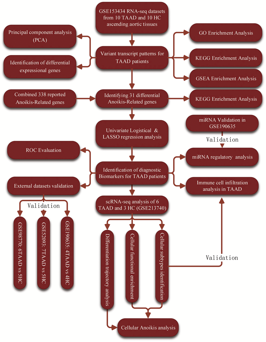 The workflow chart of this study.