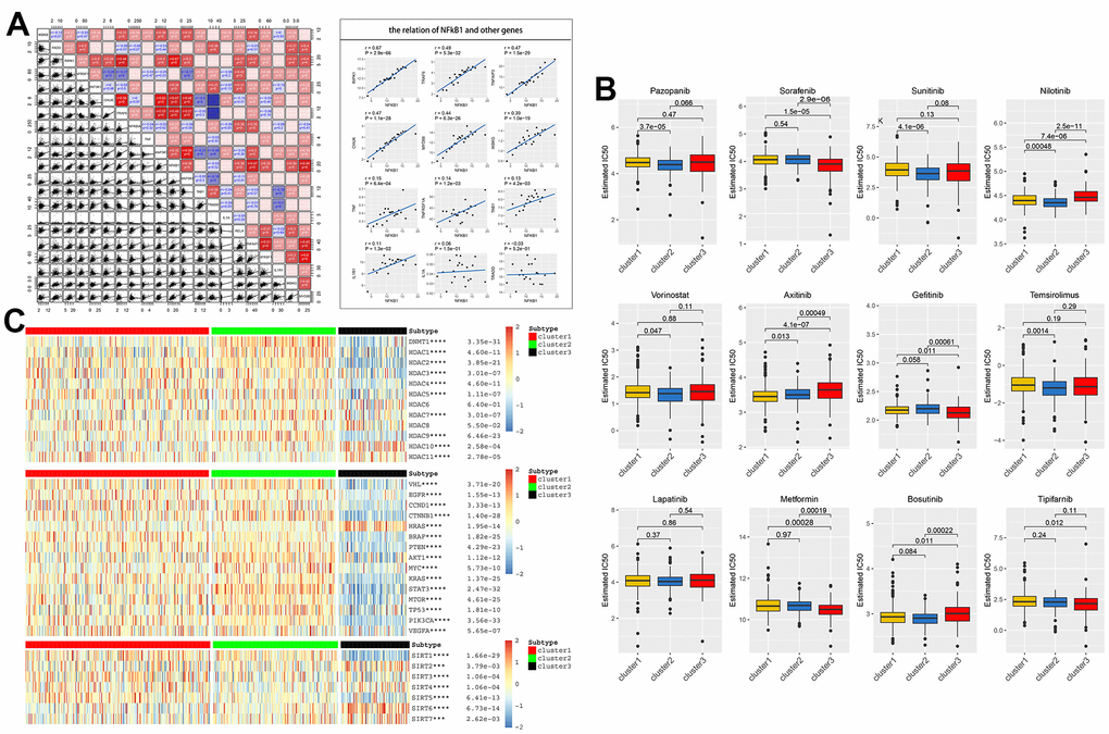 (A) Co-expression analysis showed that 21 NF-κB-related genes were associated in tumor tissues, with R-value indicating correlation size, red indicating positive correlation, and blue indicating negative correlation, pB) Based on three clusters, the IC50 predictions of 12 common tumor-targeted drugs for drugs with KIRC cells were analyzed. (C) Association of acetylation-related genes (HDAC and SIRT) and classical tumor family genes with NF-κB scores.