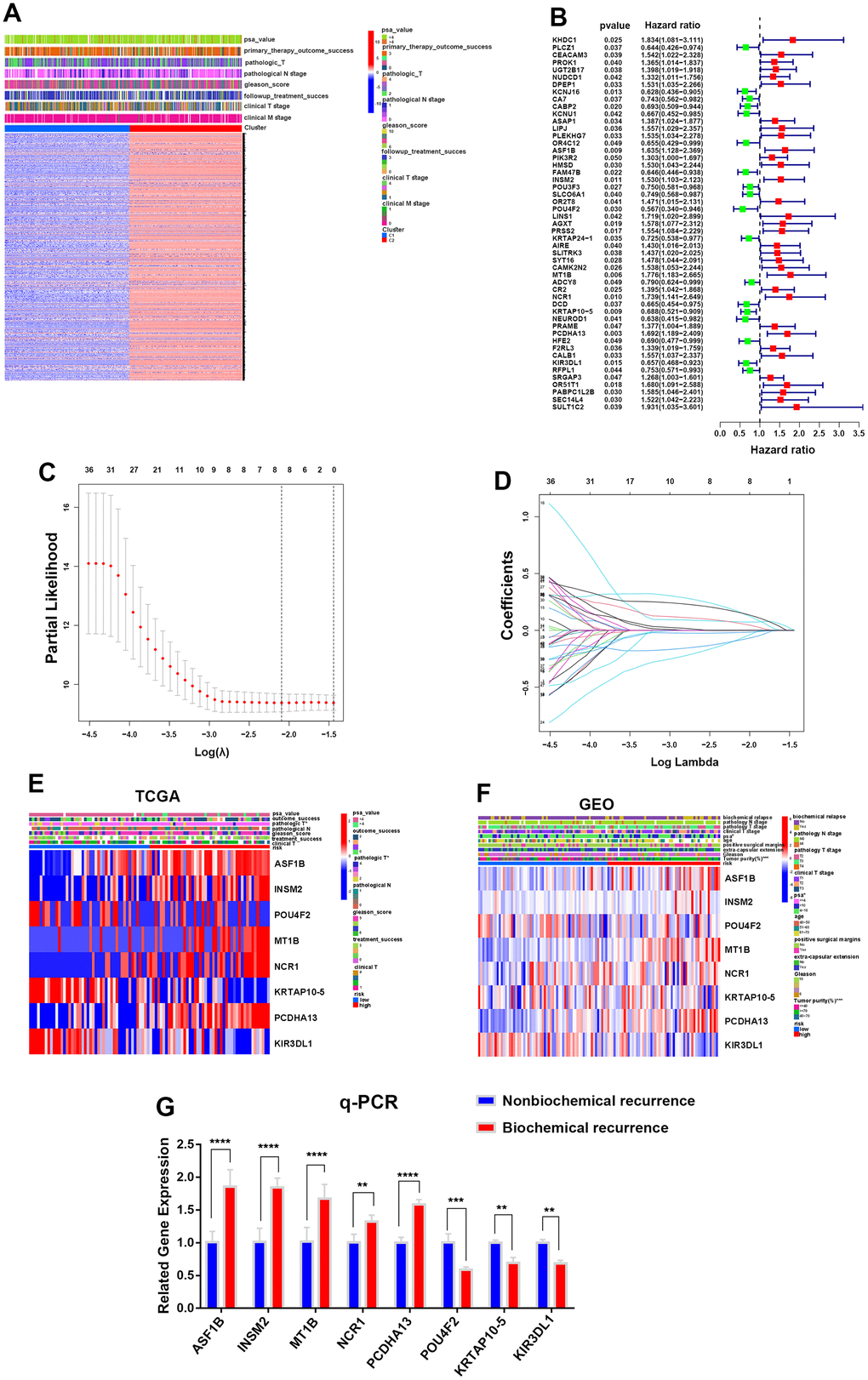 Construction of a prognostic risk model for PCa according to integrin αvβ3/α6β1. (A) Heatmap of differentially expressed genes (DEGs) and clinical characteristics for two clusters in the TCGA cohort. (B) Forest plot of 51 DEGs interfering with the biochemical recurrence of PCa in the TCGA cohort. (C) LASSO Cox regression analysis for eight biochemical recurrence-related genes in both the TCGA and GEO cohorts. (D) LASSO Cox regression of cross-validation between the TCGA and GEO cohorts. (E, F) Heatmaps of the expression of 8 biochemical recurrence-related genes in the TCGA and GEO cohorts. (G) qPCR was used to verify the gene expression levels of the constructed model in biochemically recurrent and nonbiochemically recurrent PCa.