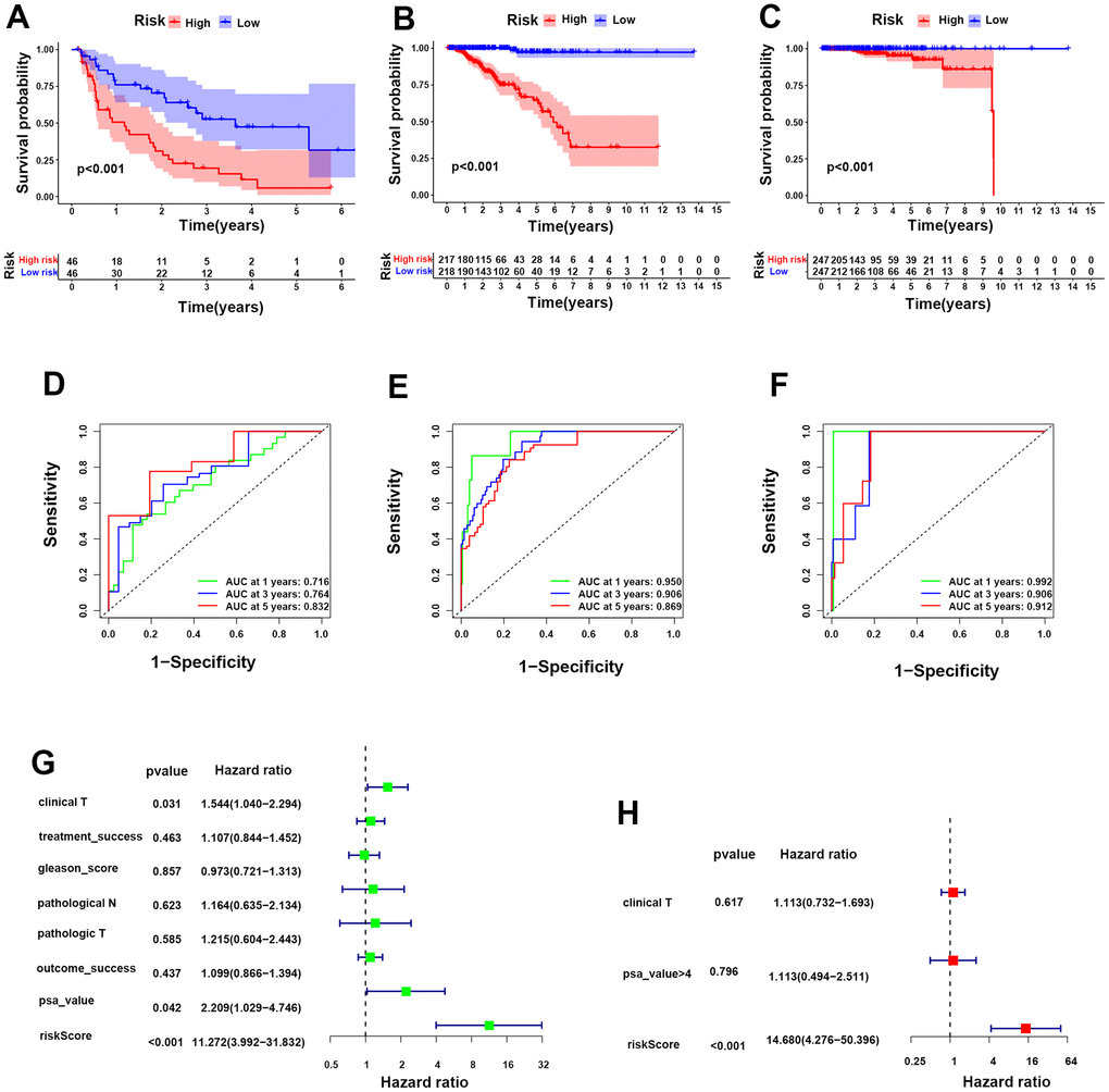 Construction of a prognostic risk model for PCa according to integrin αvβ3/α6β1. (A–C) Kaplan-Meier analysis for biochemical recurrence, PFS and OS in the two risk groups. (D–F) ROC analysis was performed to validate the predictive power for biochemical recurrence, PFS and OS of PCa patients in our model. (G, H) Forest maps of univariate and multivariate analyses for risk score in our model.