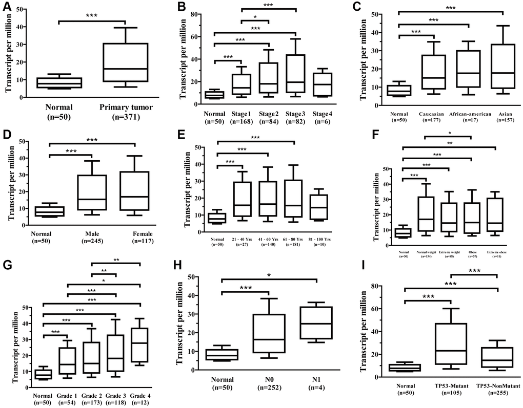 Association between Ppih mRNA expression and clinical characteristics of HCC patients (UALCAN database). (A) Boxplot showing Ppih mRNA expression in HCC tissues and adjacent normal liver tissues. (B–I) Boxplots showing the relative expression of Ppih mRNA for the patient characteristics of individual cancer stages (B), race (C), sex (D), age (E), weight (F), tumor grade (G), nodal metastasis status (H), and TP53 mutation status (I). Data are shown as the mean ± SE. *p **p ***p 