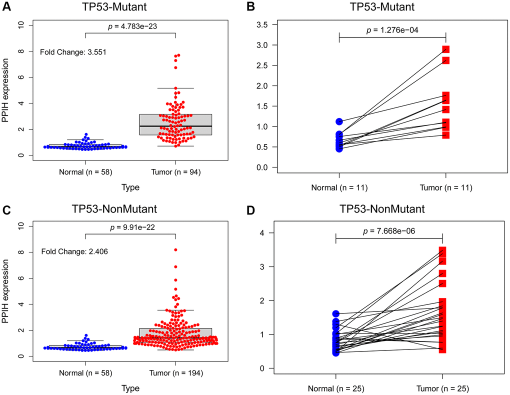 The effect of TP53 mutation status on the expression level of Ppih in HCC. (A) Ppih expression in normal and TP53 mutated HCC tissues. (B) Ppih expression in paired normal and TP53 mutated HCC tissues. (C) Expression level of Ppih in TP53 nonmutated HCC and normal tissues. (D) Ppih expression level in HCC and matched normal liver tissues.