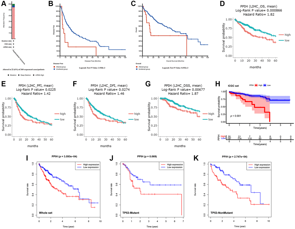 Genetic alterations and upregulation of Ppih were associated with poor prognosis in HCC patients. (A) The PPIH alteration frequency in HCC is presented as a bar diagram. (B, C) Genetic alterations in PPIH were associated with worse DFS (B) and OS (C) of HCC patients (cBioPortal database). (D–G) Graphs generated from the DriverDBV3 database show the prognostic values of PPIH in HCC patients. (H) Kaplan-Meier survival analysis of the prognostic value of PPIH in the ICGC validation set. (I–K) The relationship between Ppih expression and OS in HCC patients with or without mutated TP53 based on TCGA database. Abbreviations: OS: overall survival; PFI: progression free interval; DFI: disease free interval; and DSS: disease-specific survival.