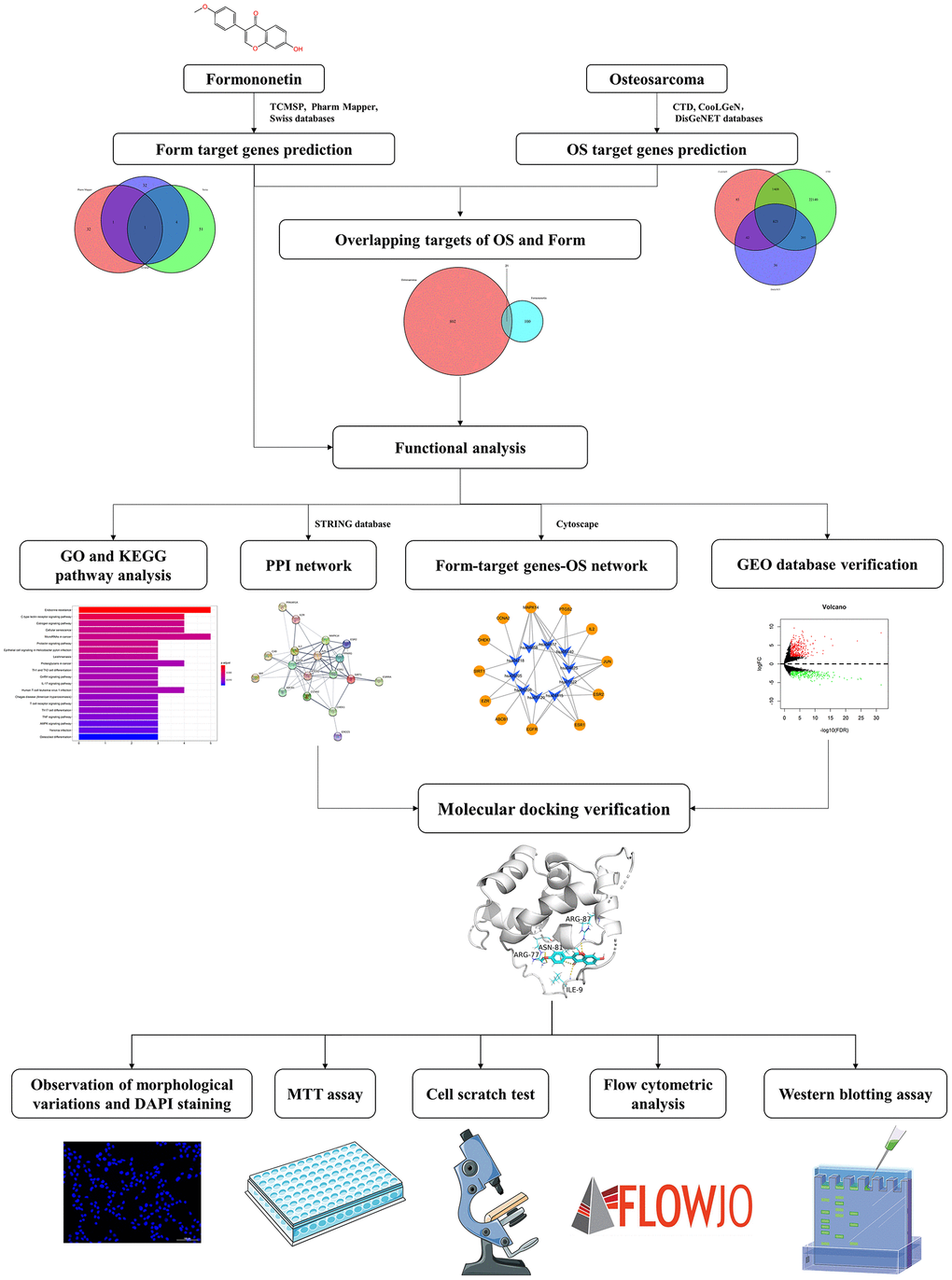 A workflow of network pharmacology analysis.