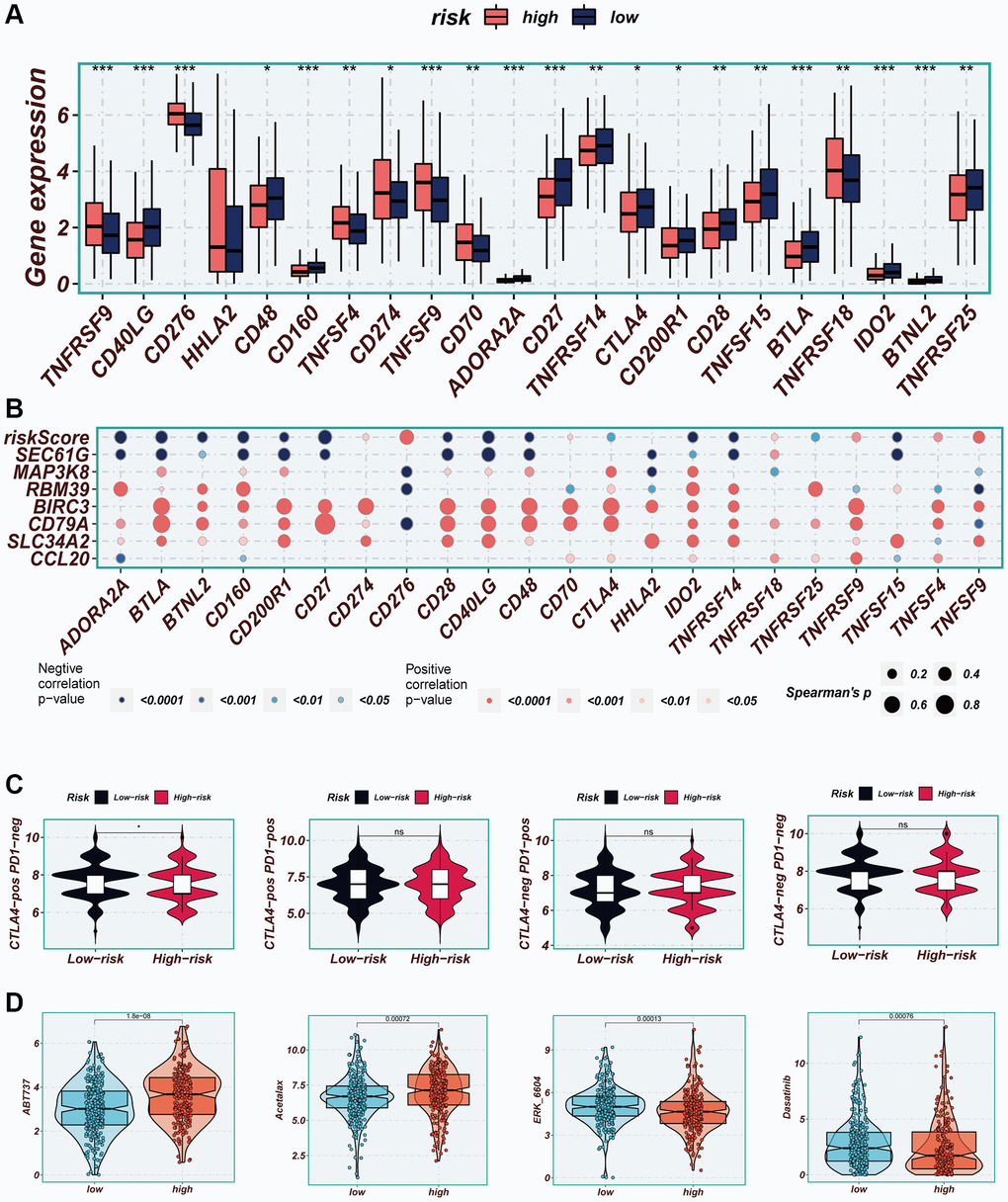 Immune checkpoint and immunotherapy analysis. (A) Boxplots showing the difference in immune checkpoint expression between high- and low-risk groups. (B) Correlation scatter plots showing the correlation between model genes and risk scores and immune checkpoint expression. (C) TCIA analysis showing the difference in IPS scores between different risk groups to infer the possible benefit of receiving PD-1 and CTLA-4 treatment in different risk groups. (D) Boxplots demonstrating the possible sensitivity of chemotherapeutic agents between different risk groups.