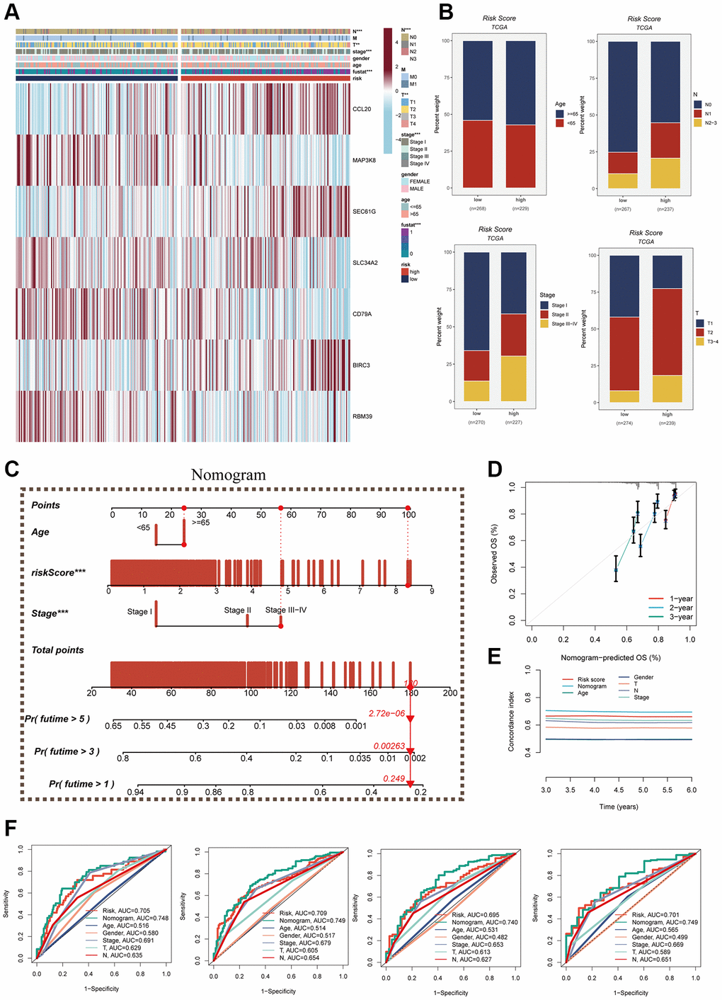 Clinical correlation analysis and construction of nomogram. (A) Heat map was constructed by combining clinical features and model gene expression to demonstrate the distribution of clinical features and model genes in high- and low-risk groups. (B) Bar graphs showing the proportion of T-stage, N-stage, fustat, and clinical stage in the high- and low-risk groups. (C) A nomogram was constructed by combining age, risk score and clinical stage. (D) Concordance index curves. (E) Decision curve. (F) ROC curves showing AUC values for clinical characteristics, risk scores and nomogram scores at 1-, 3-, 5-, and 7-years, respectively.