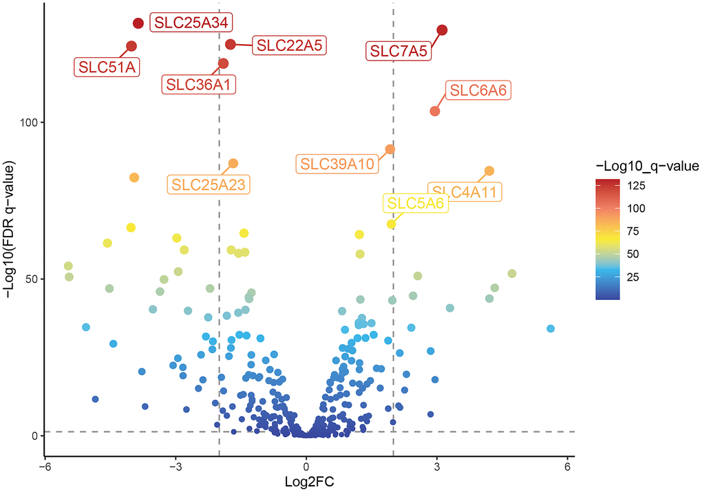 Difference analysis of the human solute carrier (SLC) gene family between tumor tissue and adjacent normal tissue in patients with colorectal cancer. The volcano map of 224 differentially expressed SLC family genes in colorectal cancer compared with normal tissues shows the top 5 up-regulated and down-regulated genes respectively.