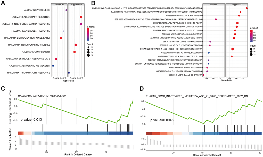 Hallmark and immune signature analysis of marker genes. (A, B) KEGG analysis of B cell marker genes in tumor-associated signal pathways and immune signature pathway. (C, D) GSEA results of cancer cell marker and macrophage marker genes.