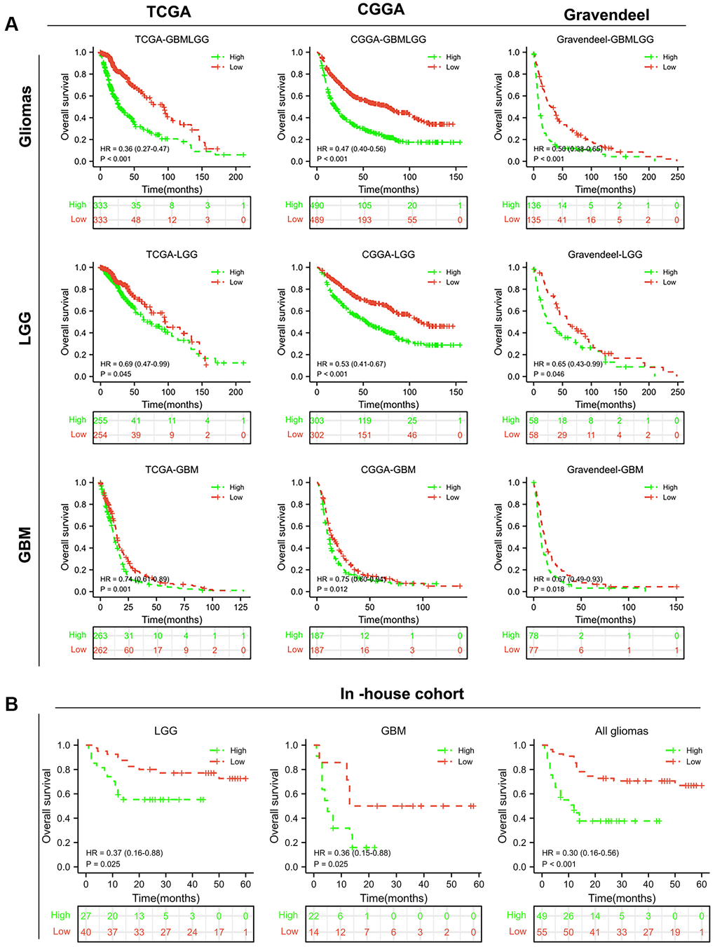 BCL2A1 was an independent prognostic factor for gliomas. (A) Kaplan–Meier survival curves of BCL2A1 in TCGA, CGGA and Gravendeel. (B) Prognostic value of BCL2A1 in an in-house cohort. Abbreviation: HR, hazard ratio.