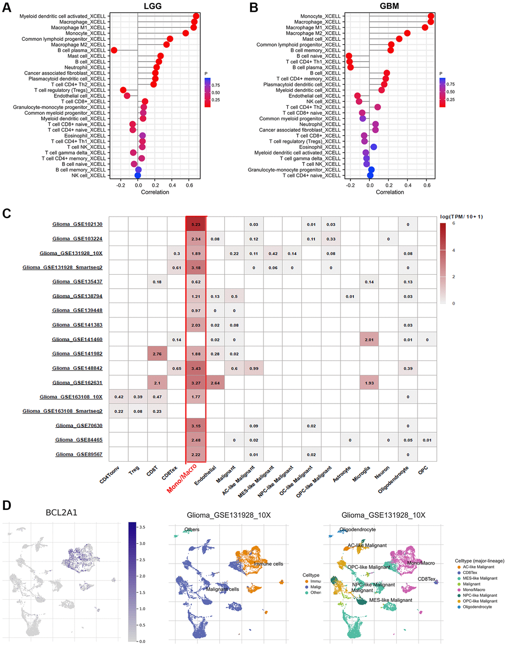 BCL2A1 was associated with macrophages and monocytes in gliomas. (A) Correlation between BCL2A1 expression and 29 infiltrating immune cells in LGG based on the TIMER 2.0 database. (B) Correlation between BCL2A1 expression and 29 infiltrating immune cells in GBM based on the TIMER 2.0 database. (C) BCL2A1 expression in 17 glioma single-cell clusters. (D) UMAP plot showing BCL2A1 and cell type.