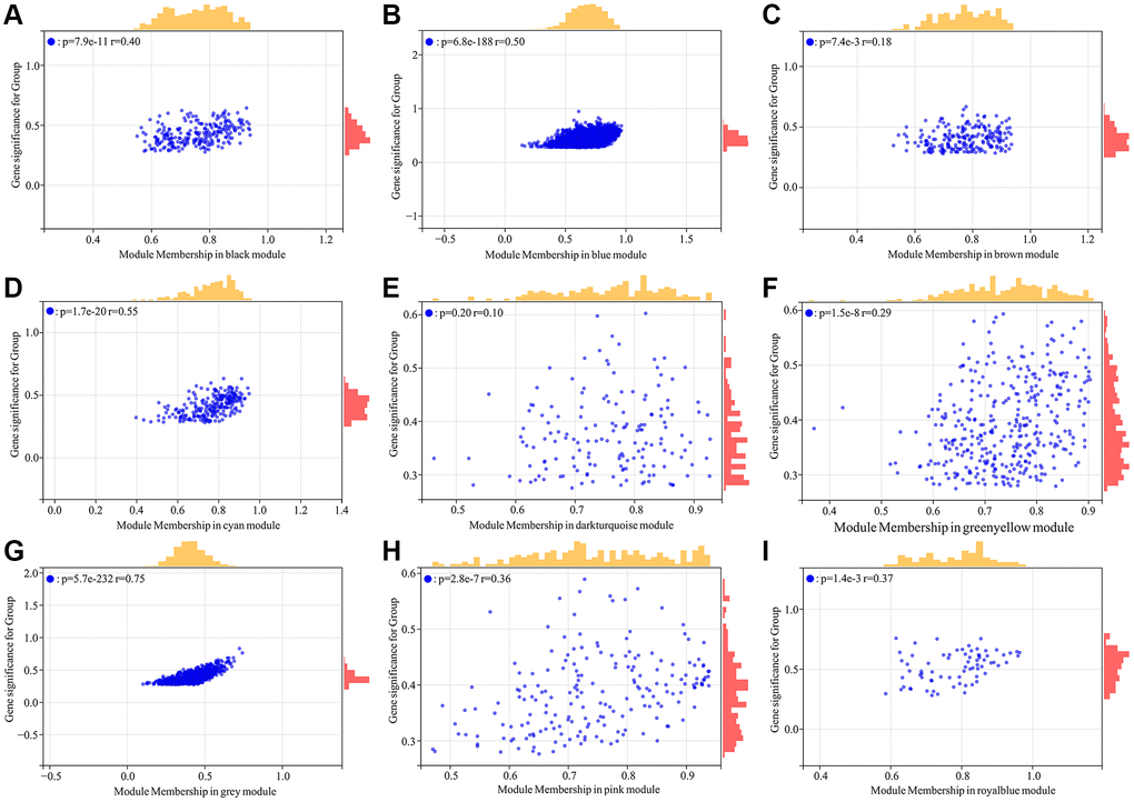 Identification of hub genes highly associated with skin aging from co-expressed gene modules. (A–I) Scatter plot analysis of the module of black, blue, brown, cyan, darkturquoise, greenyellow, grey, pink and royalblue, respectively.