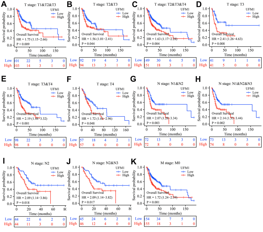 Elevated UFM1 expression associated with the shorter OS in OSCC patients based on the data of TPM type in TCGA database. (A) Stage T1-3; (B) Stage T2-3; (C) Stage T2-4; (D) Stage T3; (E) Stage T3-4; (F) Stage T4; (G) N1-2; (H) N1-3; (I) N2; (J) N2-3; (K) M0. Note: OSCC, oral squamous cell carcinoma; OS, overall survival; TPM, transcripts per million; TCGA, The Cancer Genome Atlas.