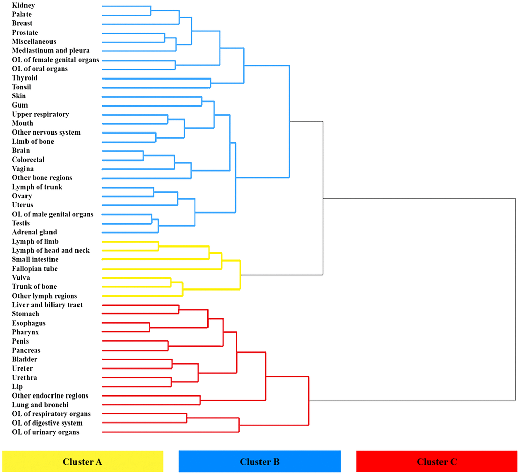 Hierarchical clustering dendrogram of prognostic trend of 48 primary metastatic cancers. Leaves marked in yellow, blue, and red were categorized as three different clusters.