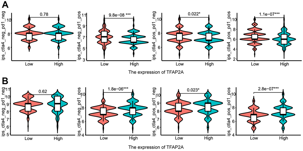 The relationship between TFAP2A expression and immunotherapy efficiency. (A, B) Analysis of TFAP2A expression with the efficacy of blocking CTLA4 or PD1 in (A) BRCA and (B) COAD.