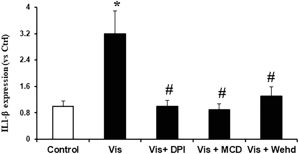 Effects of NADPH oxidase inhibition on visfatin-induced IL-1β production in podocytes. IL-1β production in podocytes with or without stimulation of visfatin, DPI or MCD or WEHD. Values are means ± SEM, showing fold changes as compared with control. Abbreviations: Ctrl: Control; Vis: Visfatin; DPI: diphenyleneiodonium; MCD: methyl-β-cyclodextrin. *P #P 