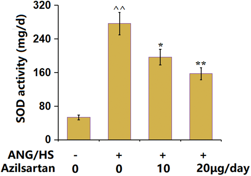 The effects of Azilsartan on urinary albumin excretion in ANG/HS-challenged mice (n=6, ^^, P