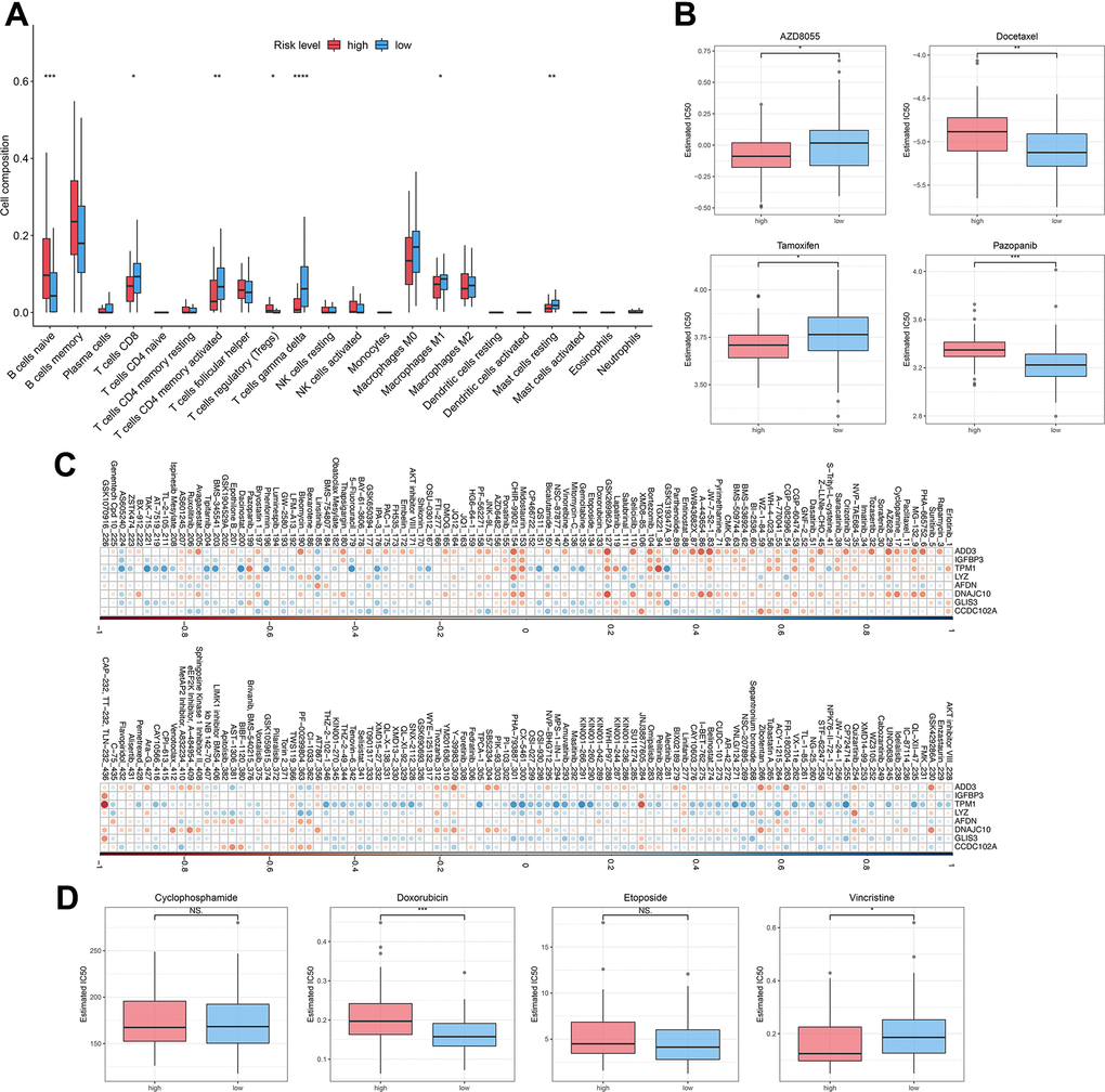 Immune infiltration and drug sensitivity of DLBCL patients in the high-risk group or low-risk group. (A) The immune infiltration of 22 leukocyte subtypes from DLBCL patients in high-risk and low-risk groups; (B) Individual IC50 values of AZD8055, tamoxifen, docetaxel, and pazopanib were shown; (C) Heatmap of the correlation coefficients for the risk factors and chemotherapeutic drugs; (D) Individual IC50 values of cyclophosphamide, doxorubicin, etoposide, and vincristine predicted for DLBCL patients in the high-risk and low-risk groups. nsP > 0.05, *P t-test).
