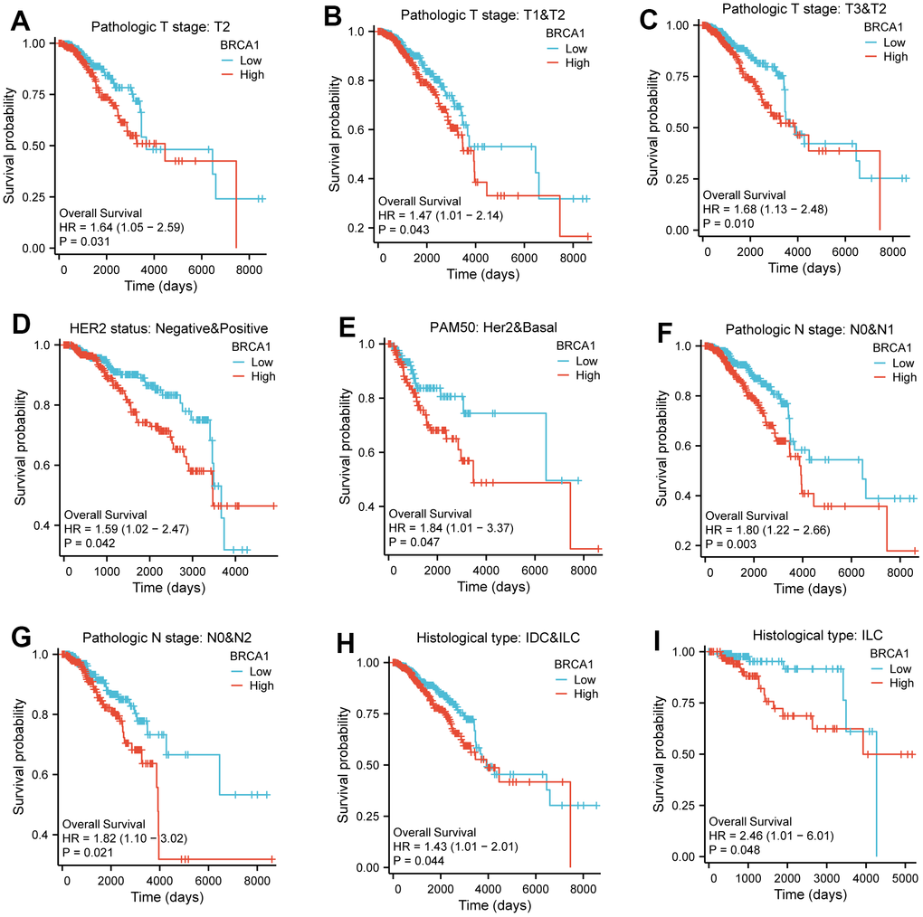 The impact of BRCA1 level on different subgroups prognosis of patients with BRCA discussed by the Kaplan-Meier. (A–I) OS survival curves of HER2 status, HER2 and Basel, N0 and N1, N0 and N2, IDC and ILC, ILC, T2, T1 and T2, T3 and T2 between high- and low- BRCA1 patients with BRCA.