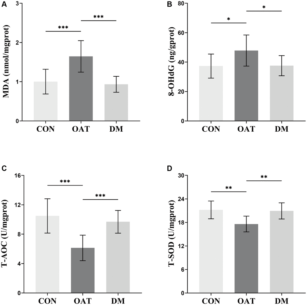 Effects of DM on testicular tissue OS in rats with TGS-induced OAT. (A) MDA. (B) 8-OHdG. (C) T-AOC. (D) T-SOD. n = 10 in each group; *P **P ***P 