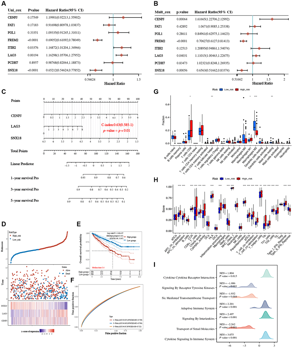 Construction and validation of a prognostic model based on LAG3-related genes. Univariate (A) and multivariate (B) Cox regression analysis of LAG3-related genes. (C) Nomogram to predict the 1-year, 3-year, and 5-year OS of KIRC. (D) Riskscore scatterplot, survival status scatterplot, and model gene expression heatmap. (E) Survival curve of high/low-risk score. (F) ROC curves of the prognostic model at 1-year, 3-years, and 5-years. (G) The box plot depicting the immune cell infiltration levels in the high- and low-risk groups. (H) Box plot of immune pathway scores in the high- and low-risk groups. (I) Mountain plots of GSEA for the high- and low-risk groups. (*P **P ***P 