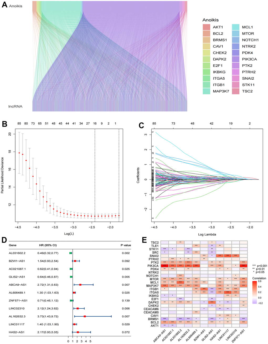 Identification of significant prognosis ARlncRNAs. (A) Sankey diagram depicting the relationships between 27 anoikis-related genes and ARlncRNAs co-expression. (B) LASSO Cox regression analysis revealed 85 ARlncRNAs based LASSO cross validation plot. (C) LASSO coefficient of 85 ARlncRNAs. (D) Forest plot showed different ARlncRNAs for high and low risk, with red representing high-risk lncRNAs and green representing low-risk ARlncRNAs. (E) Correlation heatmap showed the relationship between 11 ARlncRNAs and anoikis-related genes for the signature. Red represents positive correlations and blue represents negative correlations.
