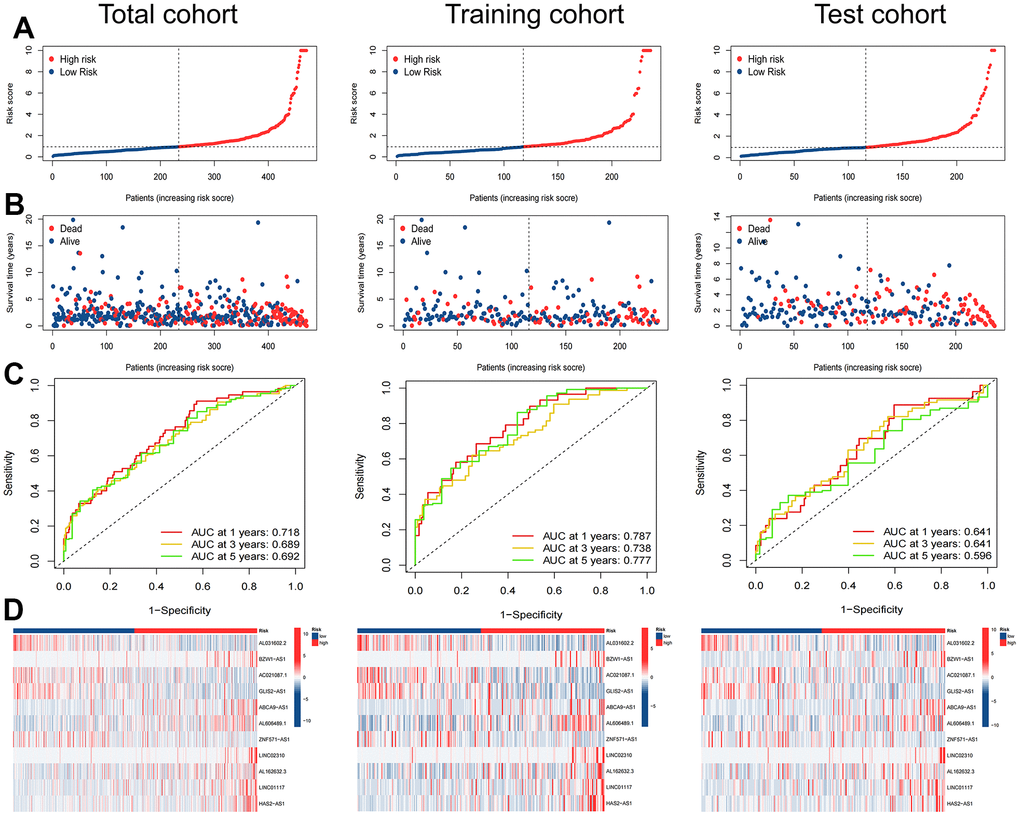 Evaluation of the ARlncRNA prognostic signature in the total, training and test cohorts. (A) Risk score distribution of patients with LUAD based on ARlncRNAs. (B) Scatter plots showed the association between the overall survival and the risk score distribution. (C) 1-, 3-, and 5-years overall survival area under the ROC curve of the signature. (D) Heatmap represented the expression of 11 ARlncRNAs involved in the signature.