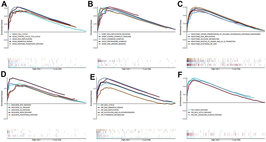 Gene set enrichment analysis. The pathways of (A) KEGG, (B) GO, (C) BIOCARTA, (D) REACTOME, (E) WIKIPATHWAYS, and (F) PID enriched in the low- and high- risk group.