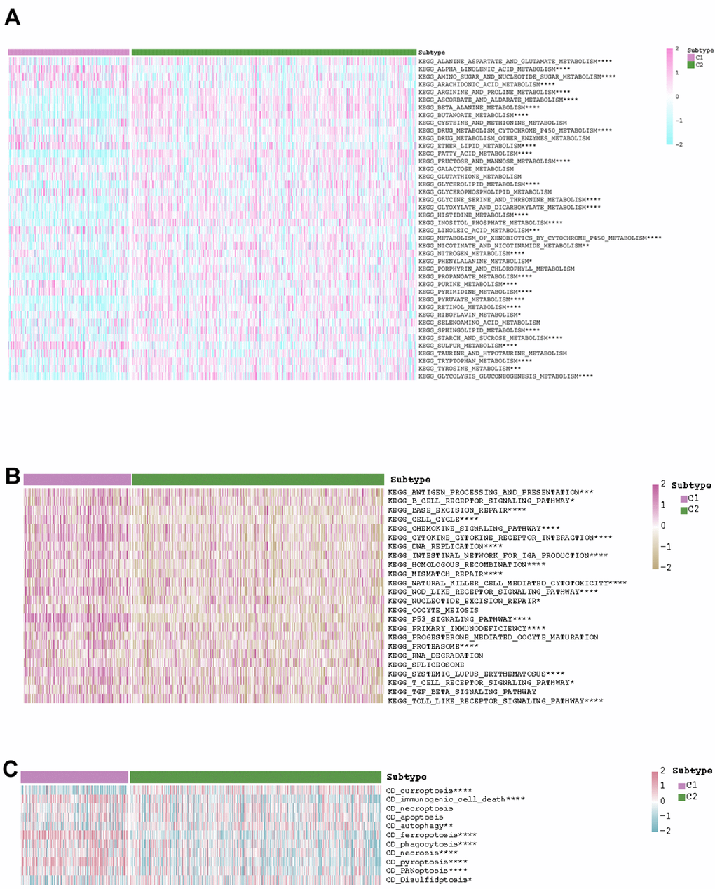 The exhibition of the distinct (A) metabolism-related pathways, (B) immune-related pathways, and (C) cell deaths in the two KIRC subtypes.
