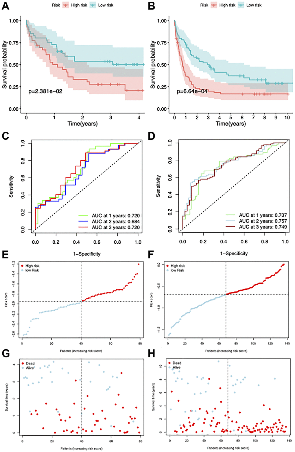 Validation of the prognostic model. (A, B) Survival curves of patients in high and low-risk groups in GSE12417 and GSE37642 datasets. (C, D) ROC curves showing the AUC value of the model for different survival times. (E–H) Distribution of the risk score and survival status.