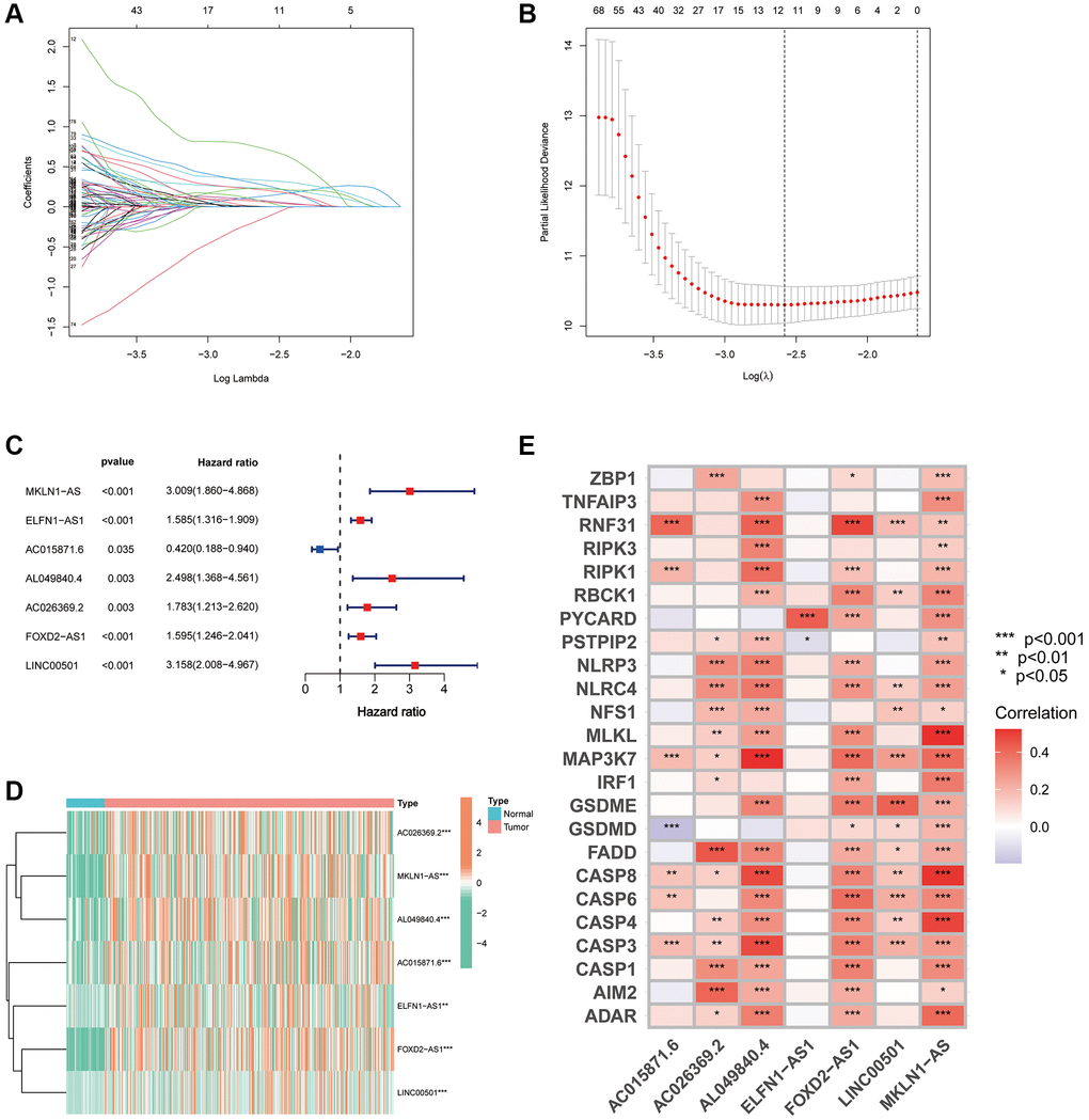 Development of a PANRI in hepatocellular carcinoma. (A, B) The LASSO coefficient and partial likelihood deviance of the PANRI. (C) A risk forest plot of the seven lncRNAs used to construct the PANRI. (D) Expression heat map of 7 lncRNAs used to construct PANRI. (E) Heat map of correlations between the expression of PANoptosis-related genes and the seven lncRNAs used to construct the PANRI.