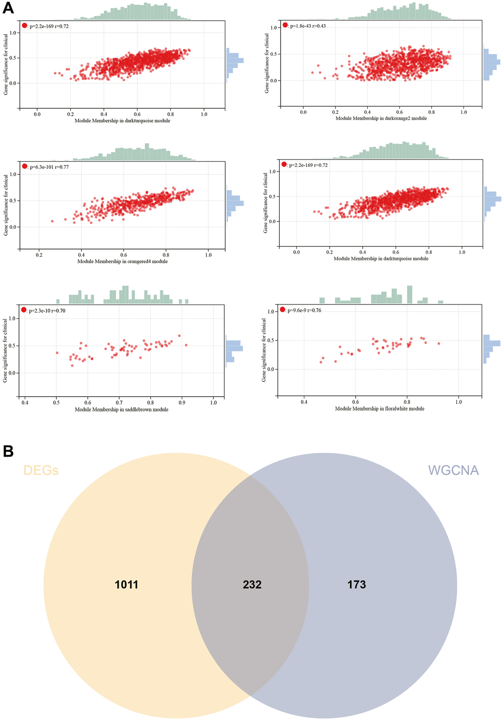 WGCNA. (A) GS to MM correlation scatter plot of associated hub genes. (B) Venn diagram.