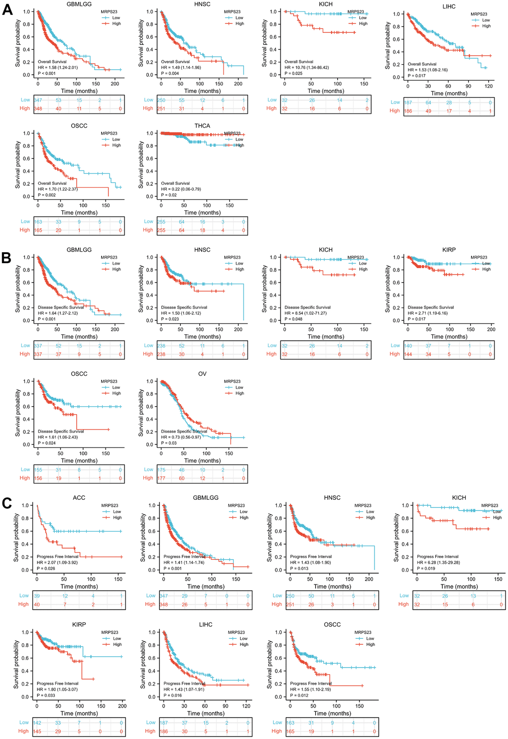 MRPS23 expression correlated with the prognosis values of pan-cancer. (A) The OS for MRPS23 in glioma, HNSC, KICH, LIHC, OSCC and THCA. (B) The DSS for MRPS23 in glioma, HNSC, LIHC, KICH, KIRP, OSCC and OV. (C) The PFI for MRPS23 in ACC, glioma, HNSC, KICH, KIRP, LIHC and OSCC.