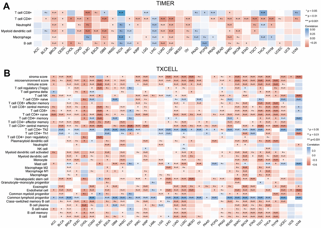 Correlation between MRPS23 expression and immune infiltrates. (A) Correlations between MRPS23 expression and the level of immune infiltration in 33 types of human cancer using TIMER. (B) Correlations between MRPS23 expression and the level of immune infiltration in 33 types of human cancer using XCELL. *p 