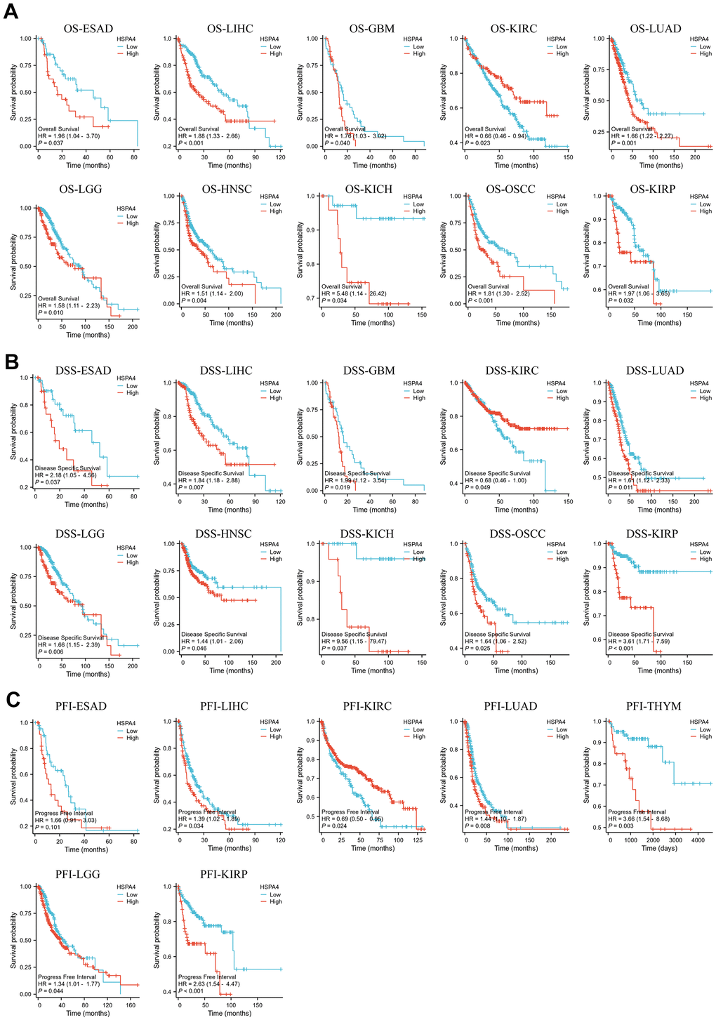 Survival prognosis analysis of cancers. (A) OS analysis of HSPA4 gene in the TCGA dataset. (B) DSS analysis of HSPA4 gene in TCGA database. (C) PFI analysis of HSPA4 gene in TCGA database.