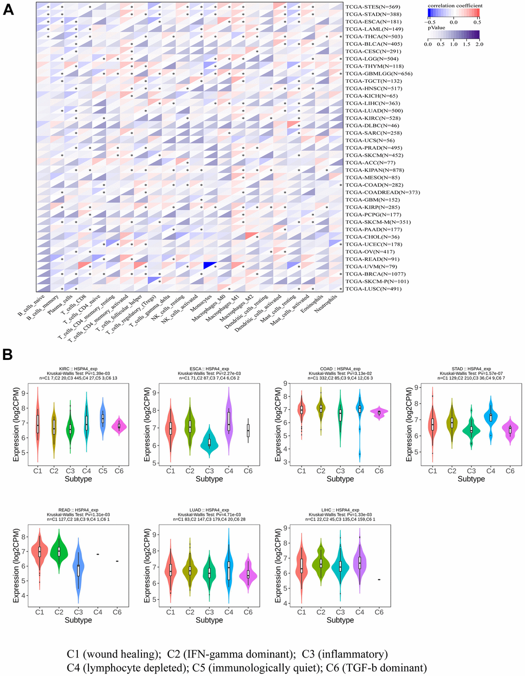 HSPA4 in relation to immune cell and immune subtyping analysis. (A) Association analysis between pan-cancer and immune-related cells. (B) Correlation between HSPA4 expression and immune subtypes in seven cancers.