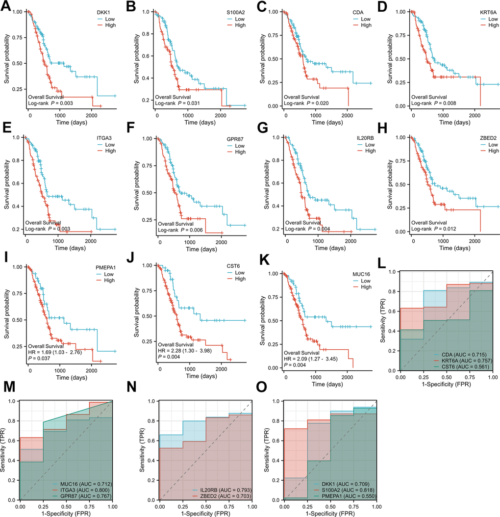 Overall survival analysis of the 11 key genes in PAAD (A–K); Diagnostic ROC plots based on the 11 key genes from pancreatic cancer data in the TCGA database (L–O).