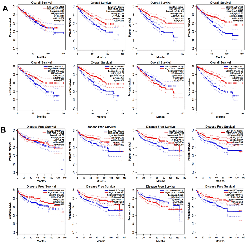 Correlation of CRGs expression with overall survival (A) and disease-free survival (B).