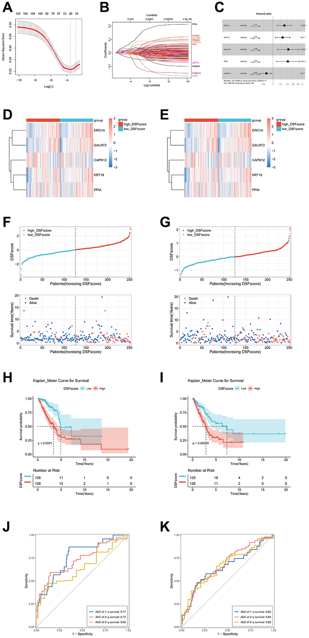 Development and assessment of a DRG-based prognostic model in the TCGA population. (A) Cross-validation for selecting the tuning parameter (λ) in the LASSO model. (B) The coefficient profile of prognostic DRGs using the LASSO method. (C) The multivariate Cox regression analysis of DRGs was presented through a forest plot. (D, E) The heatmap illustrates the differential gene expressions within the DRG prognostic model between the high- and low-risk cohorts in both the TCGA training and testing cohorts. (F, G) Risk score distribution plot and risk point plot between the high- and low-risk groups in TCGA training and testing cohorts. (H, I) The Kaplan-Meier OS curves for patients in two risk groups in TCGA training and testing cohorts. (J, K) ROC curves showed the prognostic performance of the DRG prognostic model in TCGA training and testing cohorts.