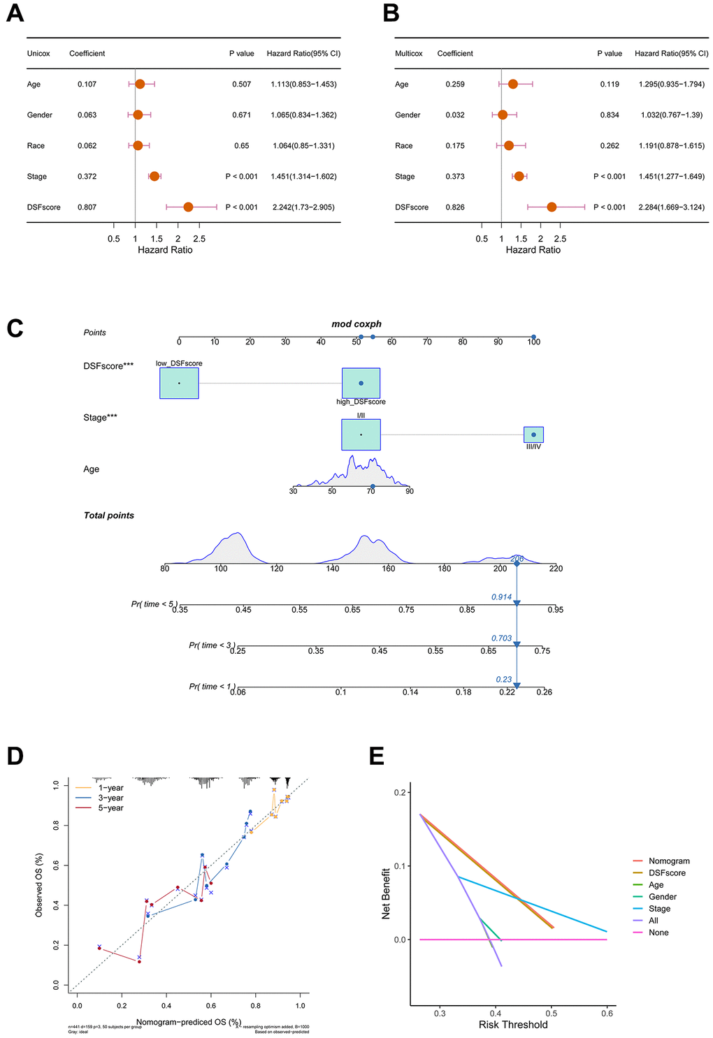 Construction and validation of a nomogram. (A) Univariate Cox regression analysis of the DRG score and clinical characteristics in the TCGA cohort. (B) Multivariate Cox regression analysis of the DRG score and clinical characteristics in the TCGA cohort. (C) Using DRG score and other clinical features to construct prognostic nomogram in the TCGA cohort. (D) Calibration curves of the nomogram. (E) DCA indicated that the nomogram achieved the optimal clinical benefit. ***P 