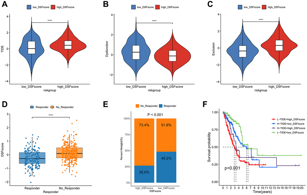 Estimation of the DRG prognostic model in immunotherapy response. Difference in TIDE score (A), dysfunction score (B), and exclusion score (C) in two risk groups. (D) Assessment of DRG score divergence between responder and non-responder cohorts using the TIDE algorithm. (E) The proportion of patients with different response to immunotherapy in two risk groups. (F) The Kaplan-Meier OS curves among four groups classified by the DRG score and TIDE score. ****P 