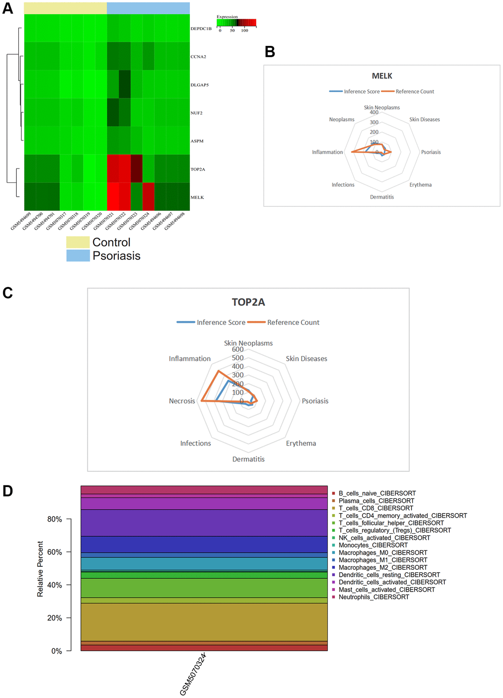 (A) Heatmap of gene expression levels. (B, C) CTD analysis related to TOP2A, MELK, and their association with skin tumors, skin diseases, psoriasis, erythema, dermatitis, and infection. (D) Immune infiltration analysis showing the proportion of immune cells in the whole gene expression matrix.