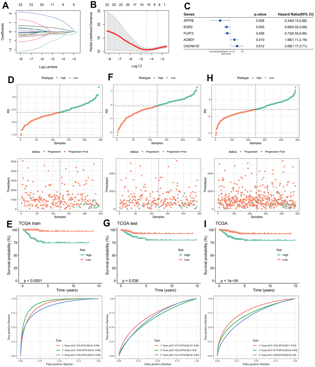 Design and validation of RiskScore model. (A) The trajectory of each independent variable changing with lambda; (B) Confidence interval under lambda; (C) Forest map of characteristic gene prognosis; (D, E) RiskScore of TCGA training set, ROC curve and KM curve of RiskScore model; (F, G) RiskScore of TCGA test set, ROC curve and KM curve of RiskScore model; (H, I) RiskScore of TCGA data set, ROC curve and KM curve of RiskScore of model.