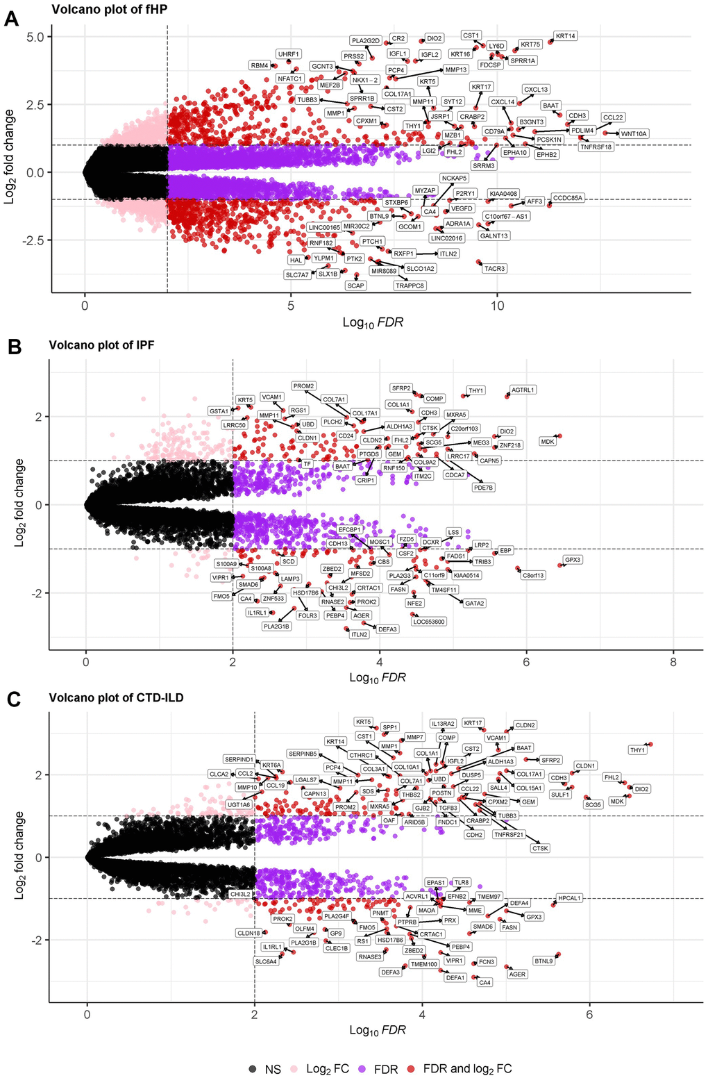 (A–C) Volcano plot demonstrating an overview of the differential expression of all genes in fHP, IPF and CTD-ILD. The threshold in the volcano plot was -log10 adjusted P>2 and |log2 fold change| >0.5; red dots indicate significant differential expressed genes. Note: CTD-ILD expression matrix was the mergence of SSc-ILD and RA-ILD datasets.
