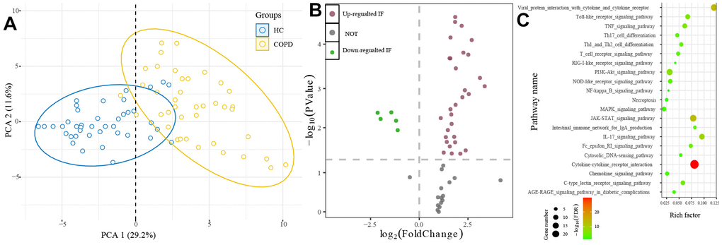 The profile immunologic factors in COPD. (A) PCA showed that COPD patients and healthy people were gathered in two areas. (B) 32 differential IFs were determined between H and COPD group. (C) Pathway enrichment analysis of 32 differential IFs. IFs: immunologic factors.