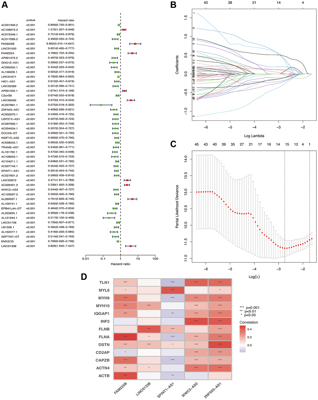 Screening of lncRNA for independent prognosis. One-way Cox regression analysis (A); Lasso regression analysis (B); λ values (C); correlation heat map (D).